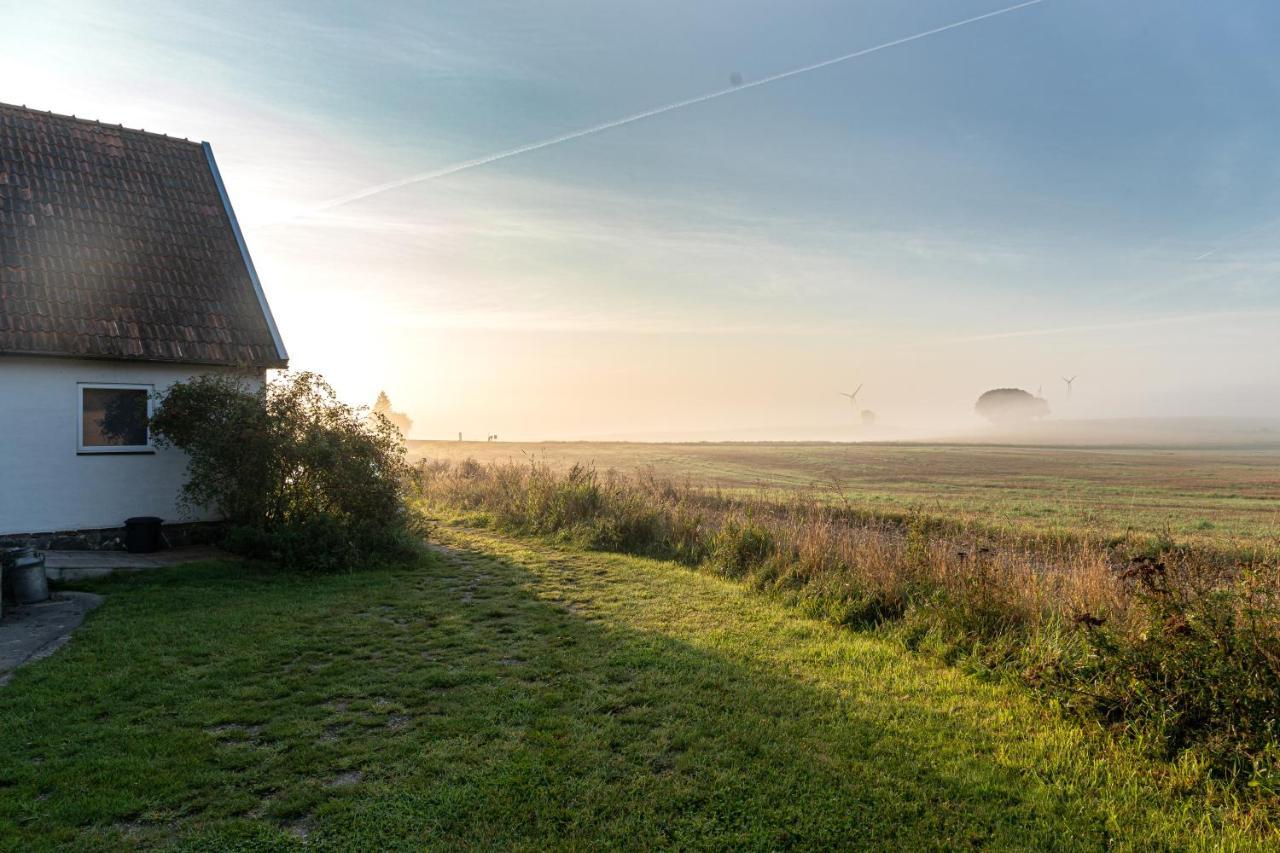 Red Bird Farm Bed & Breakfast Ystad Luaran gambar