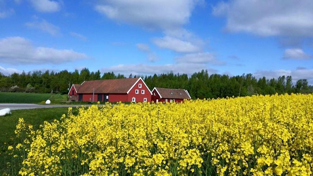 Red Bird Farm Bed & Breakfast Ystad Luaran gambar